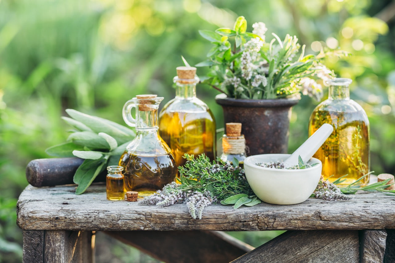 Kräuter der Provence extra